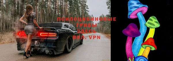 гидра Лагань