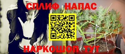 метадон Кингисепп