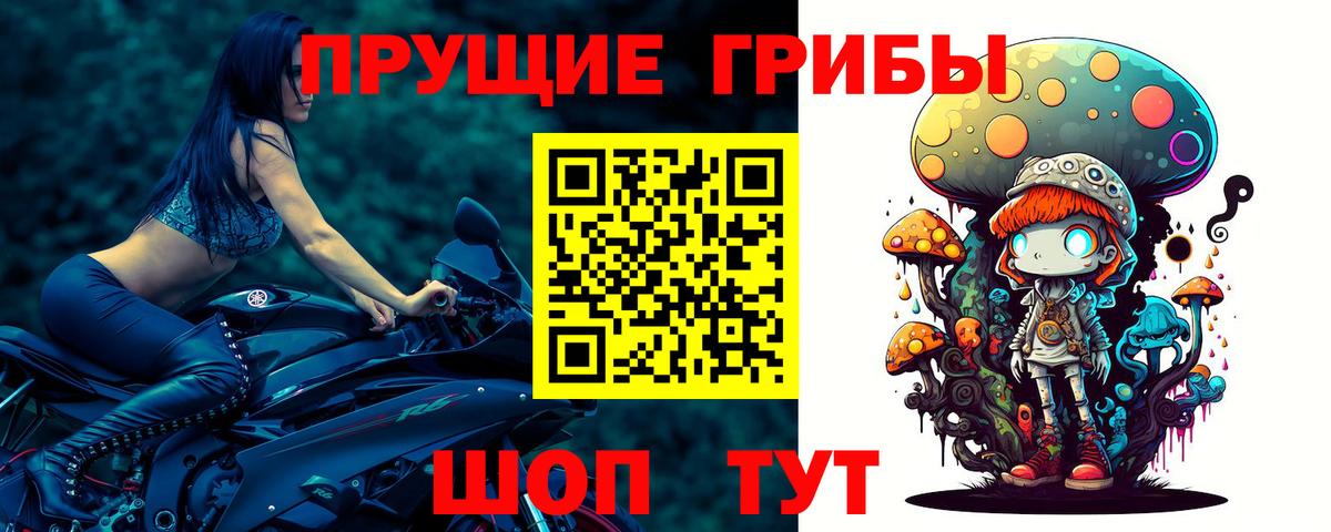 Галлюциногенные грибы Psilocybine cubensis  Галлюциногенные грибы Cubensis  Вход с VPN  Светлоград 